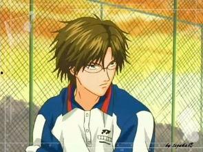 手塚 资料,漫画巨匠的传奇人生与艺术成就